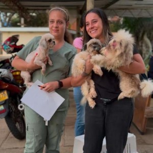Tres Perritas Rescatadas de un Criadero Ilegal en Bucaramanga