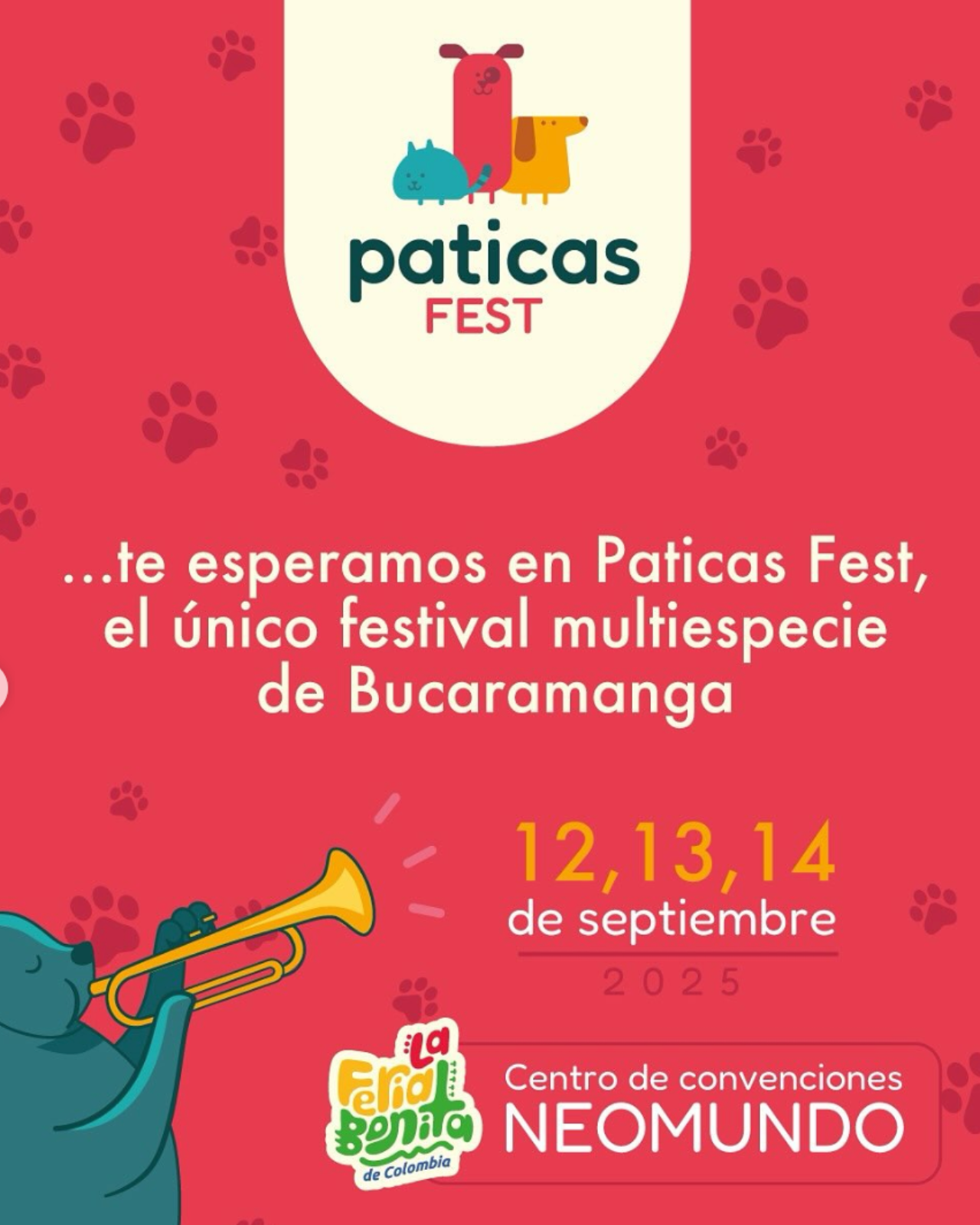 paticas fest edicioón 2 2025