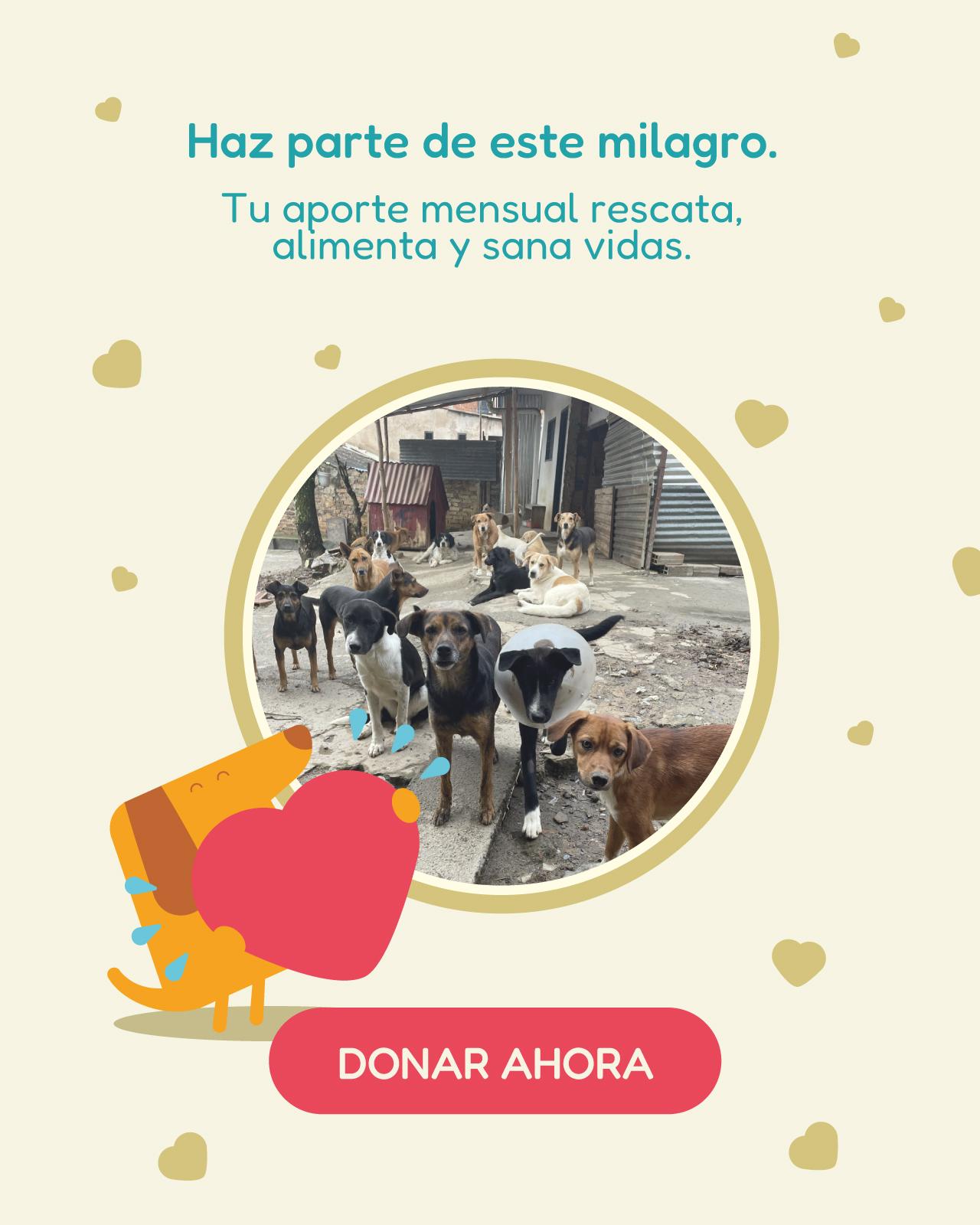 DONACIONES