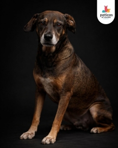 ADOPTA A MUELITAS_7