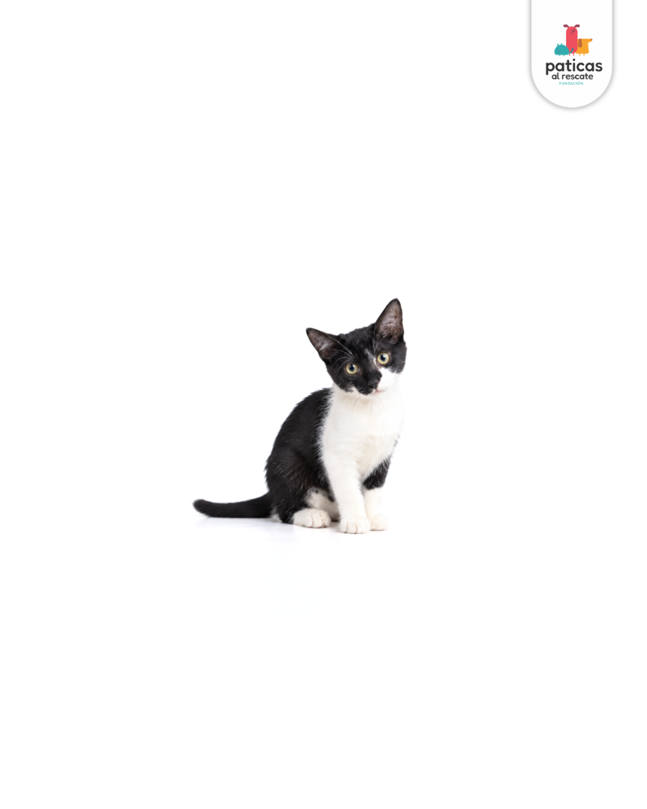 ADOPTA A ELY_2