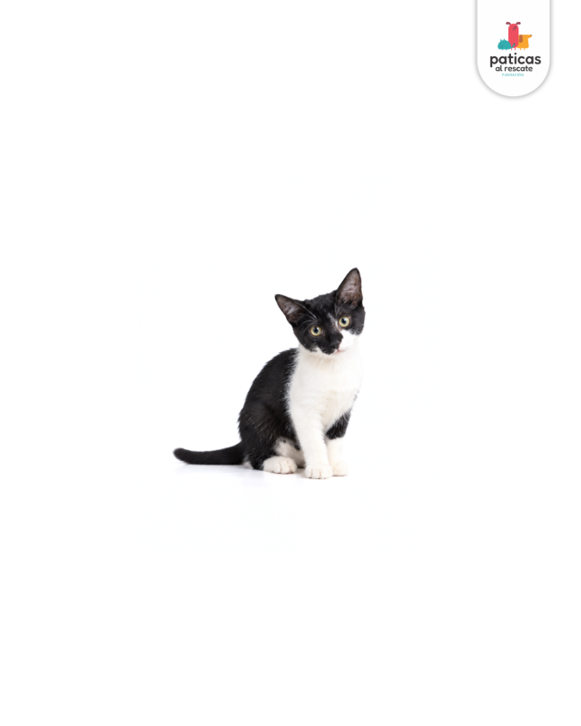 ADOPTA A ELY_2