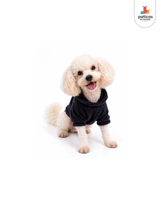 ADOPTA A OVEJITO_2