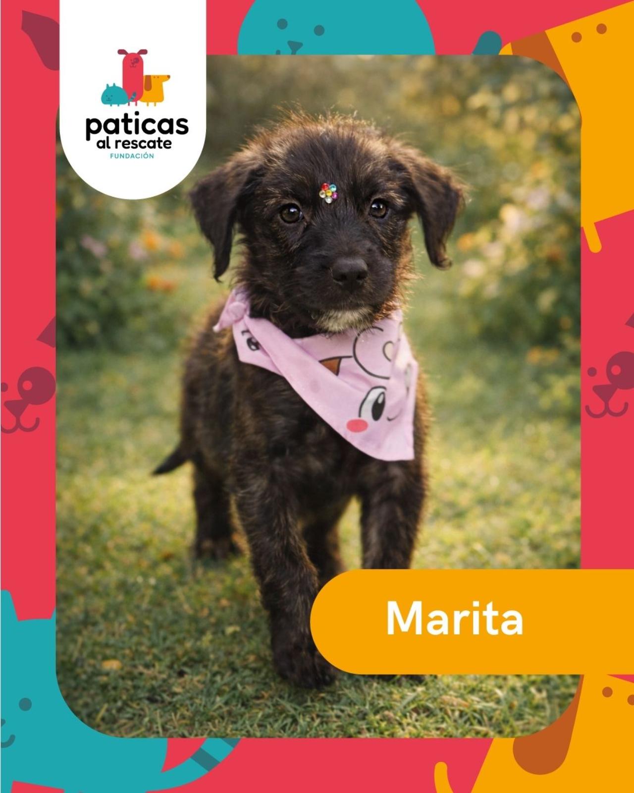 ADOPTA A MARITA_1