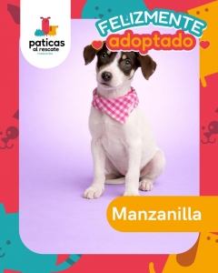 ADOPTA A MANZANILLA_7