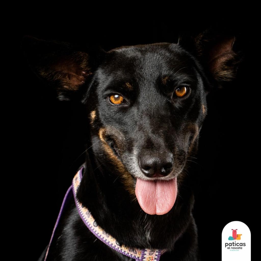 ADOPTA A RANDY_7