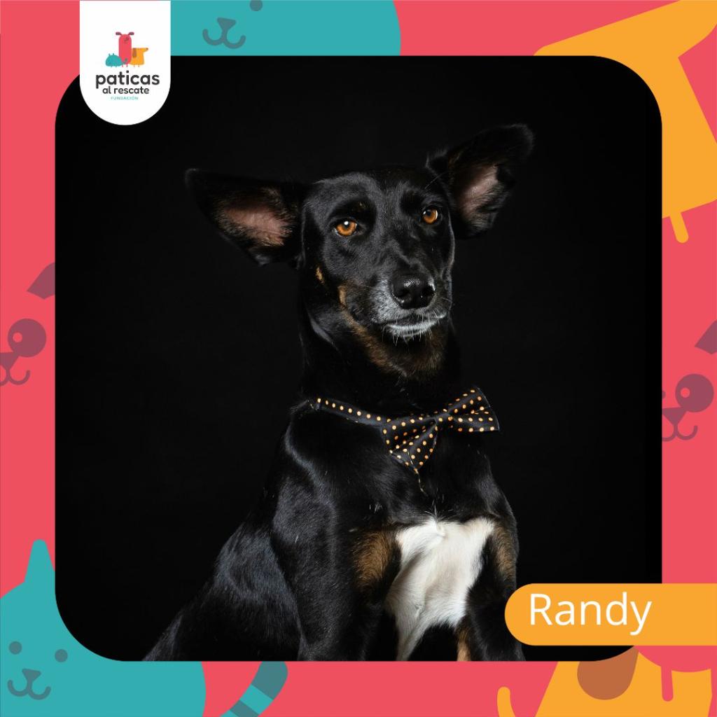 ADOPTA A RANDY_1