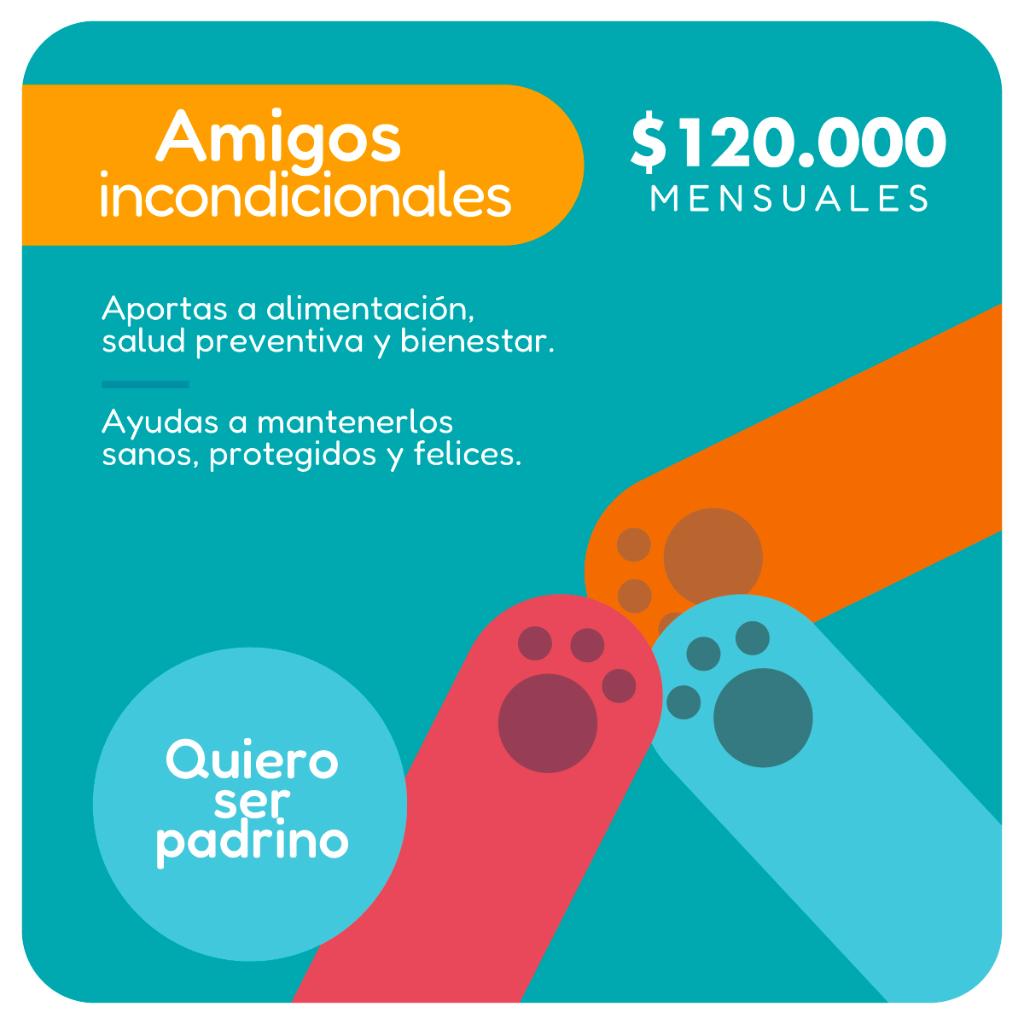 Plan Padrino Amigos Incondicionales - Paticas al Rescate