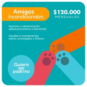 Plan Padrino Amigos Incondicionales_2
