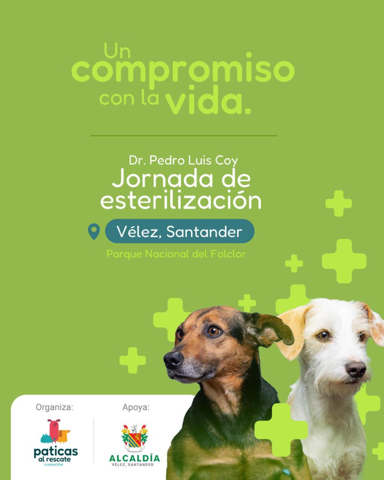 JORNADA DE ESTERILIZACIÓN – VÉLEZ SANTANDER - Paticas al Rescate