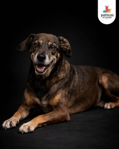 ADOPTA A MUELITAS_6
