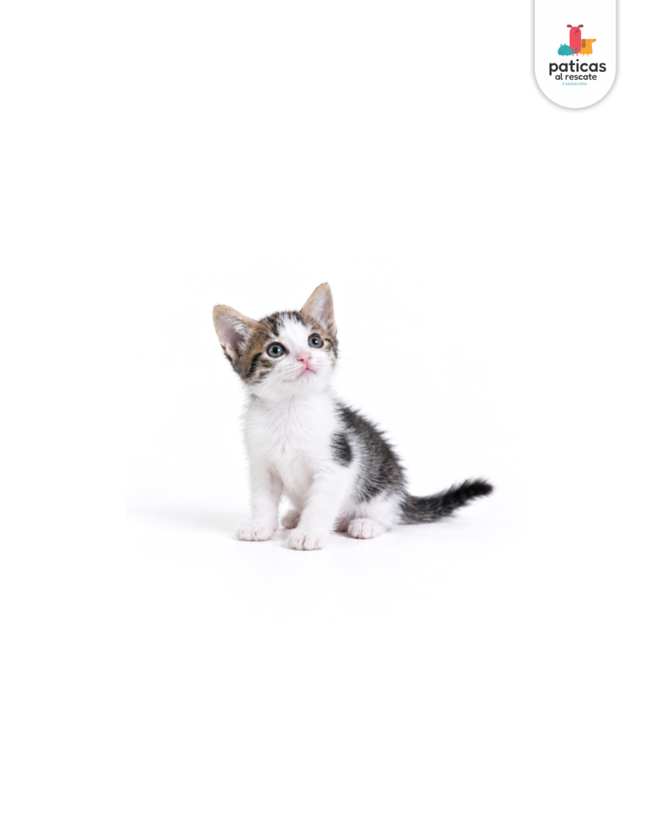 ADOPTA A PEPA_6
