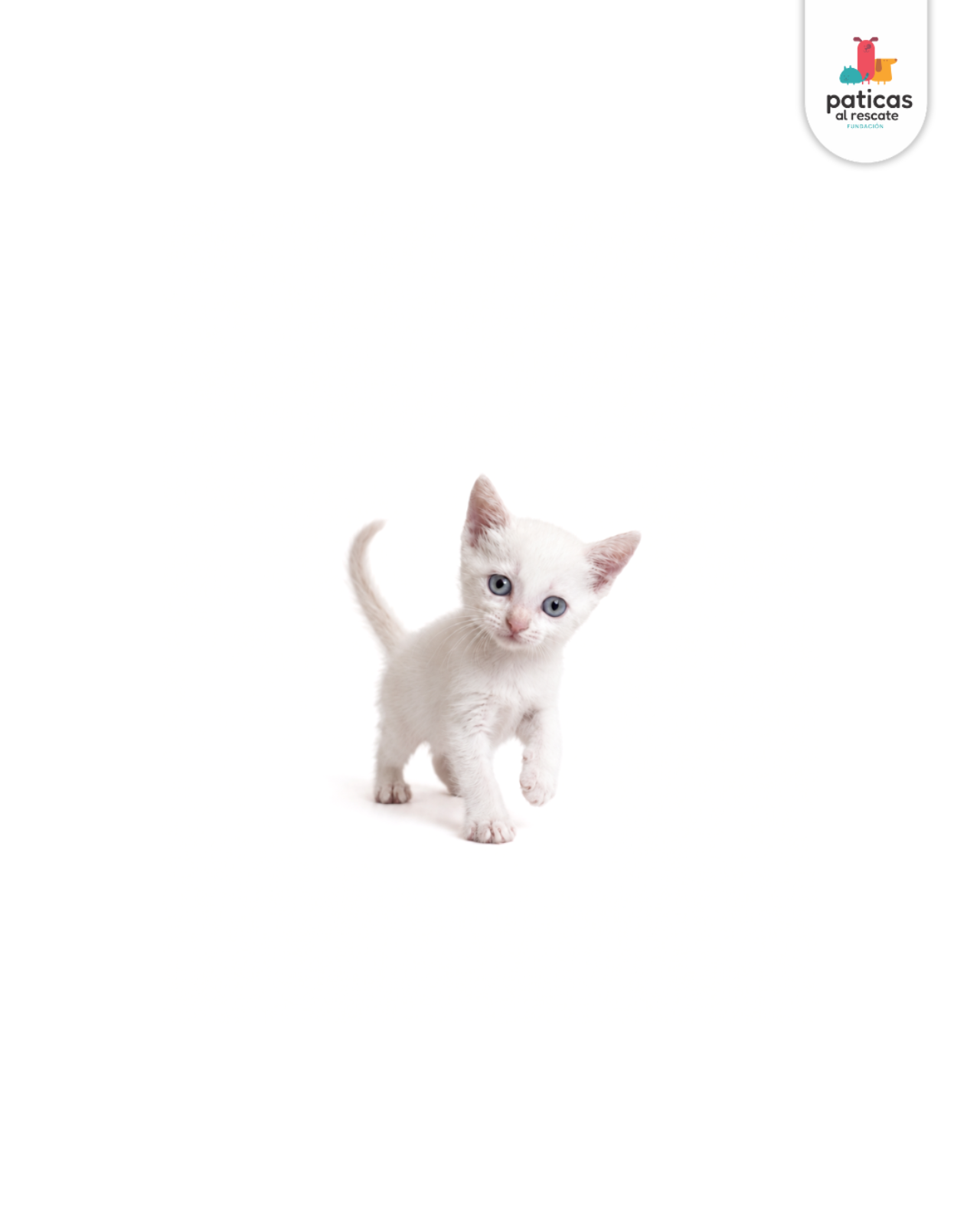 ADOPTA A MAIA_7