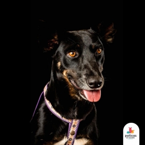 ADOPTA A RANDY_5