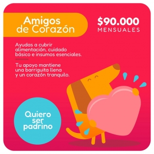 Plan Padrino Amigos de Corazón_2