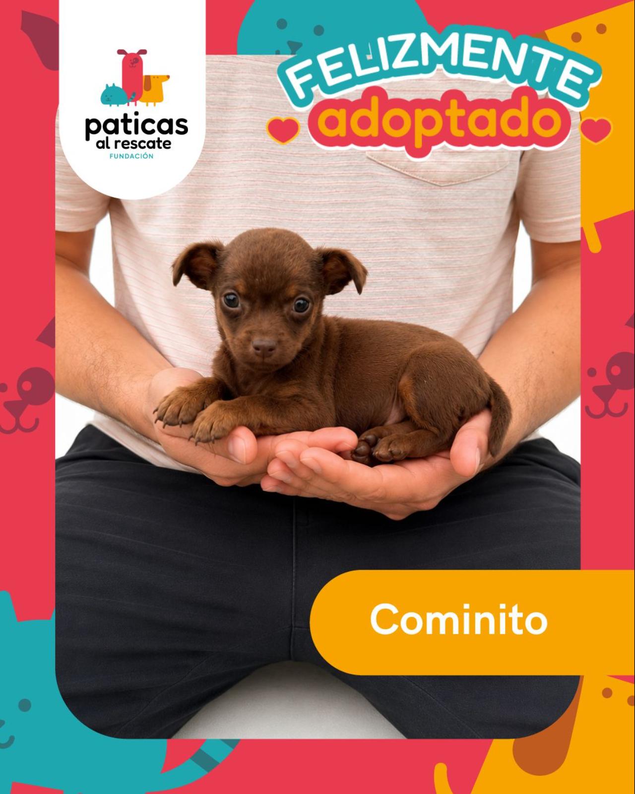 ADOPTA A COMINITO_1