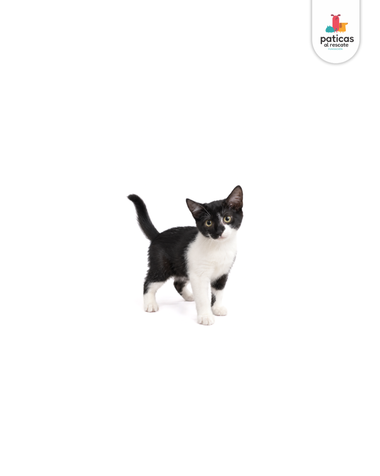 ADOPTA A ELY_4