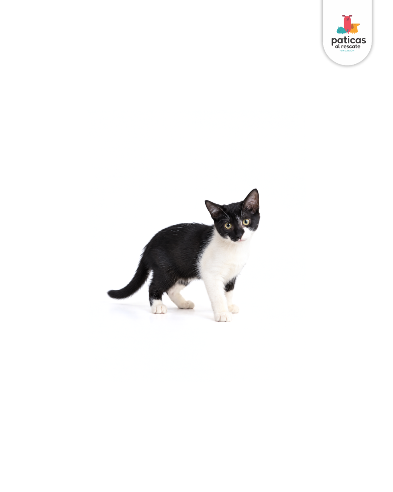 ADOPTA A ELY_3