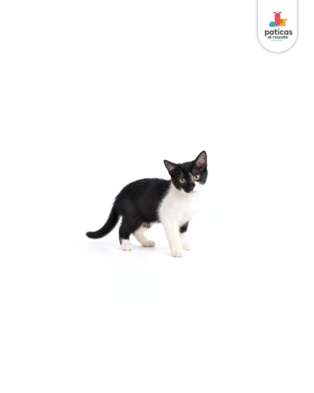 ADOPTA A ELY_3