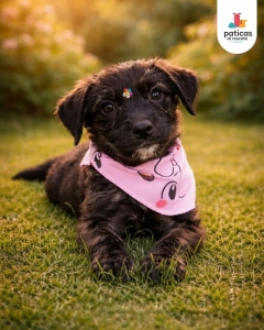 ADOPTA A MARITA_5