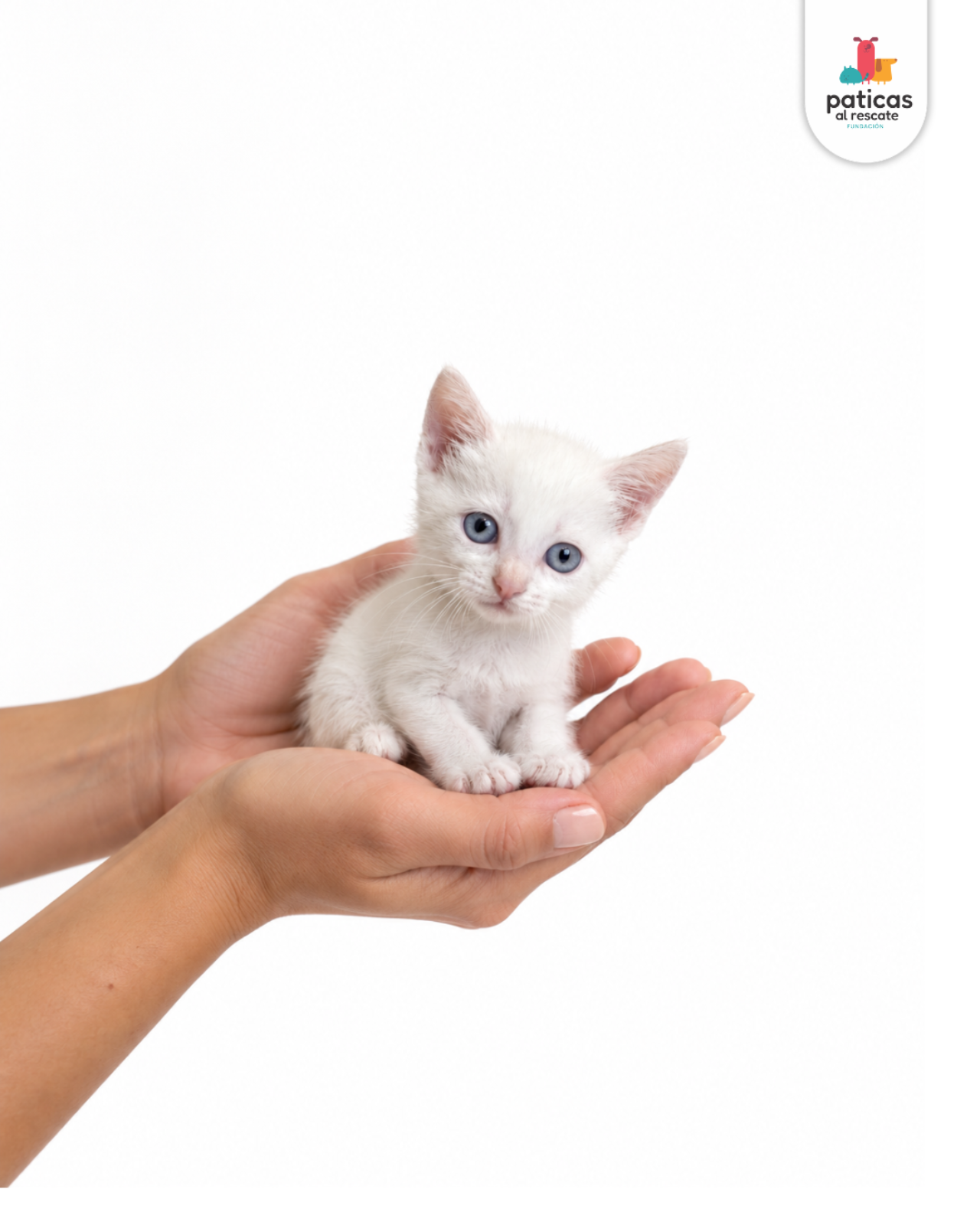 ADOPTA A MAIA_3
