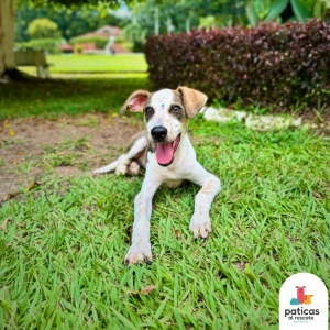 ADOPTA A MARGARITA_7