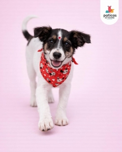 ADOPTA A MENTA_3