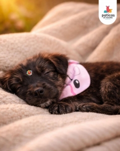 ADOPTA A MARITA_6