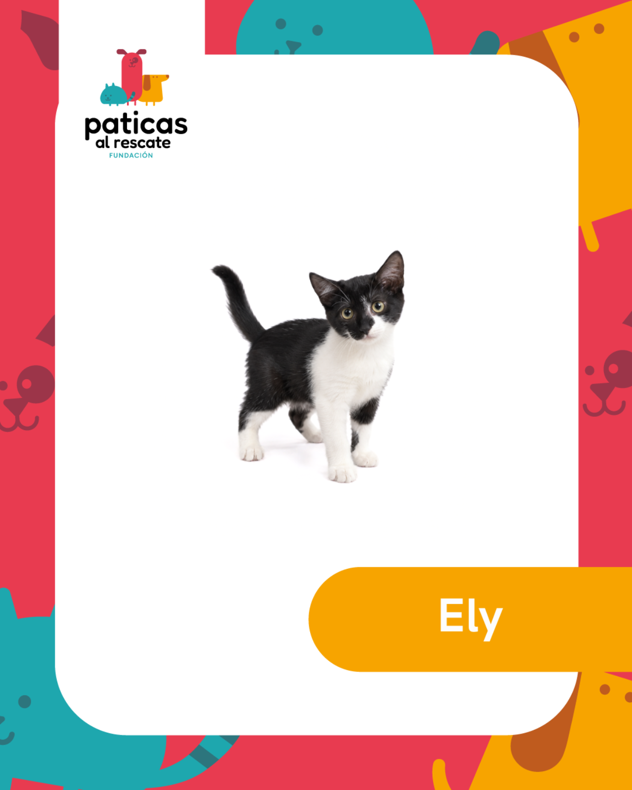 ADOPTA A ELY_1