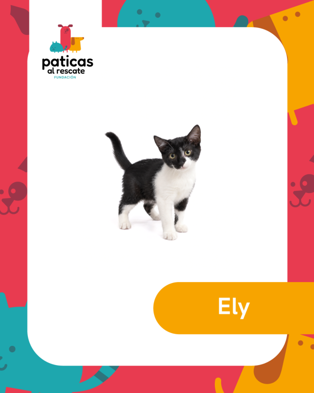 ADOPTA A ELY_1