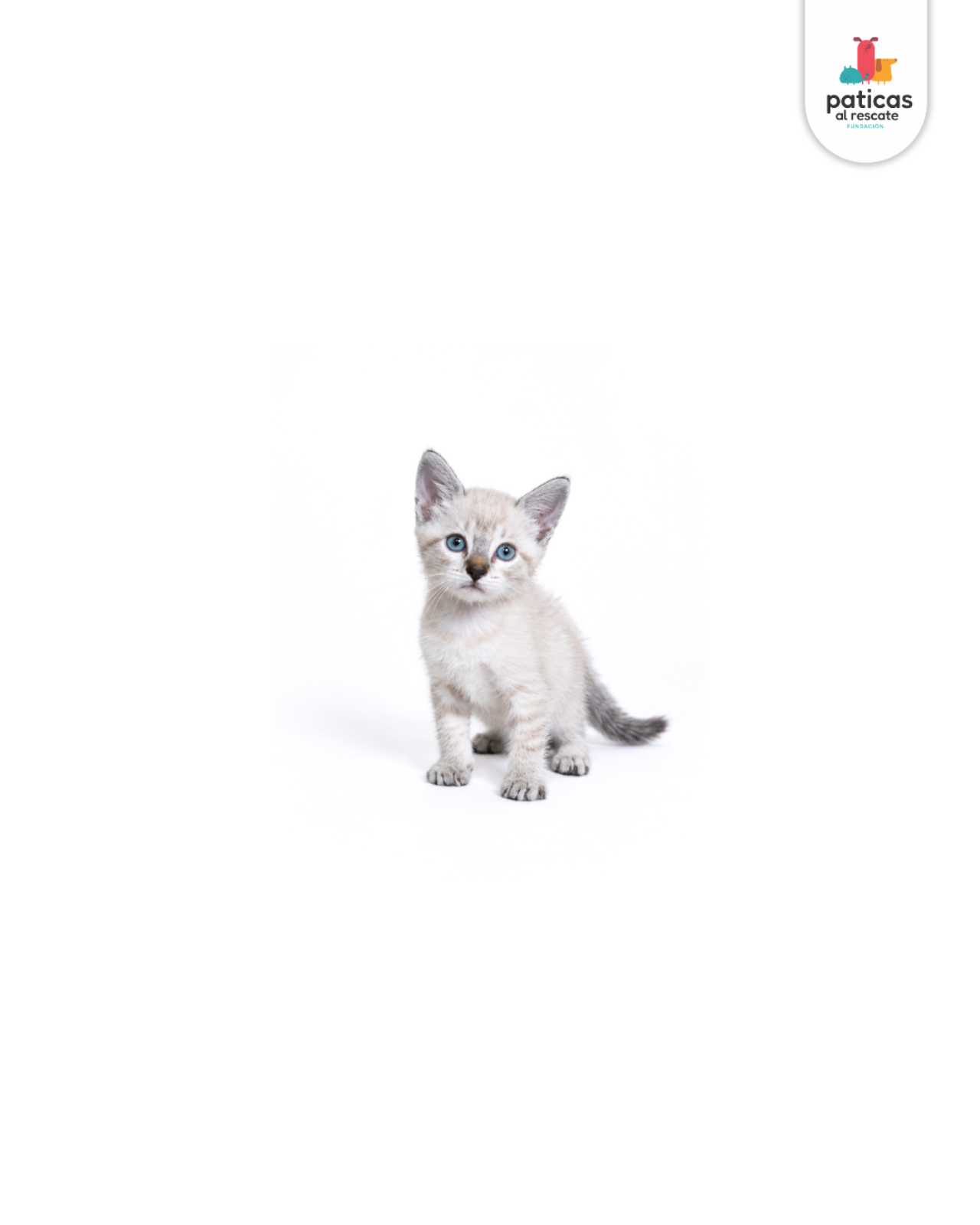 ADOPTA A NINI_3