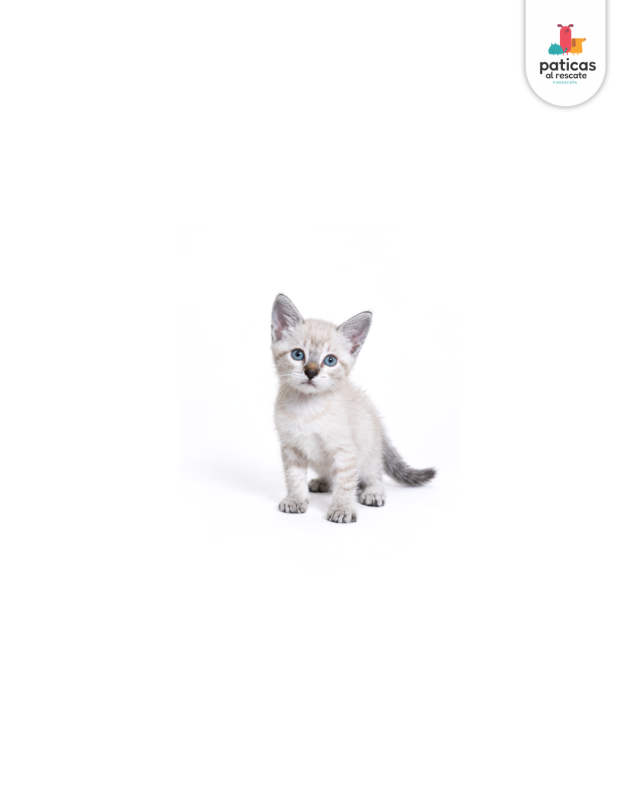 ADOPTA A NINI_3