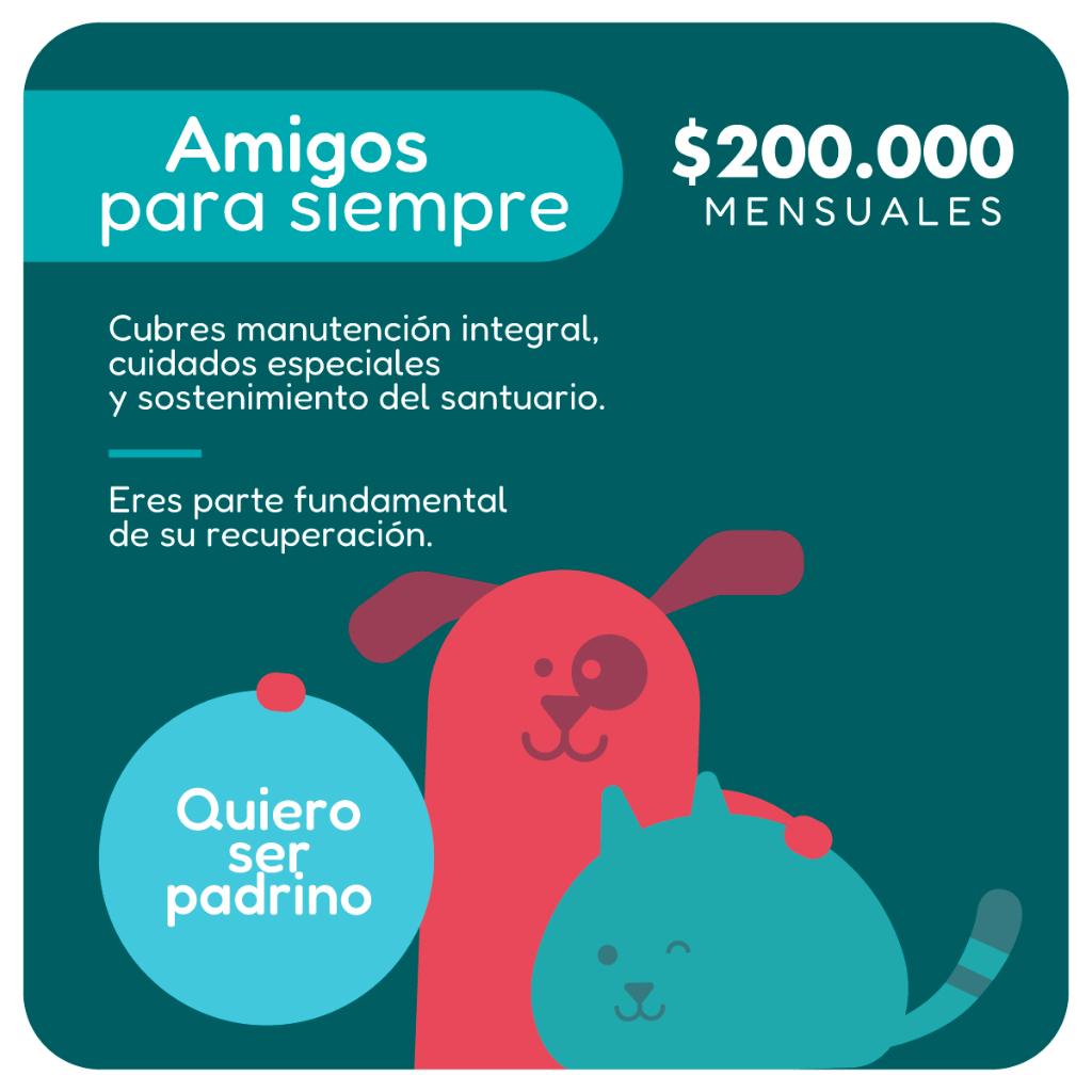 Plan Padrino Amigos para Siempre - Paticas al Rescate