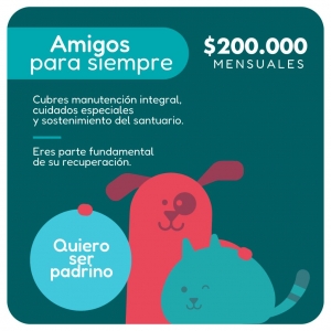 Plan Padrino Amigos para Siempre_2