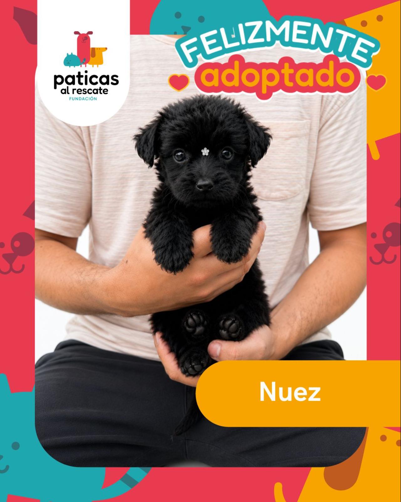 ADOPTA A NUEZ_1