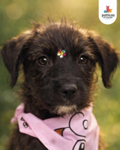 ADOPTA A MARITA_2