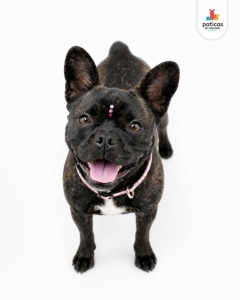 ADOPTA A LILA_7