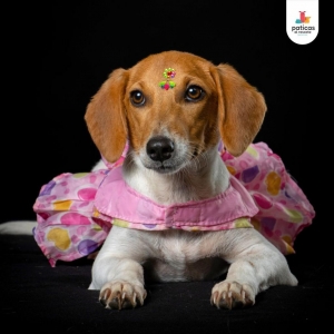 ADOPTA A TINA_2