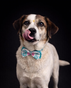ADOPTA A LULÚ_4