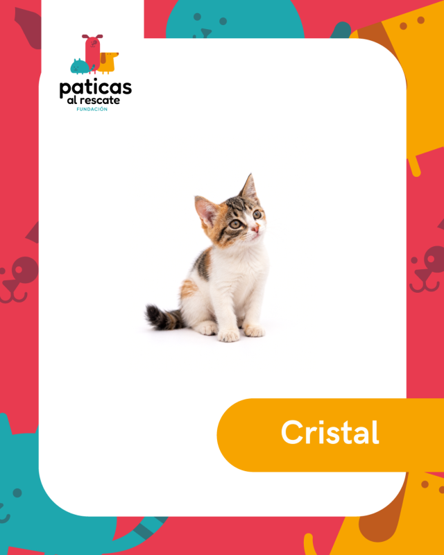 ADOPTA A CRISTAL_1