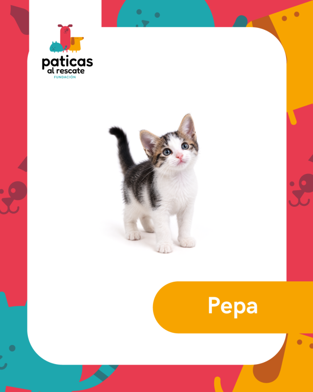 ADOPTA A PEPA_1