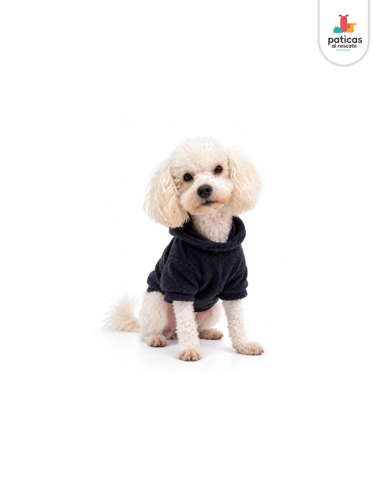 ADOPTA A OVEJITO_4