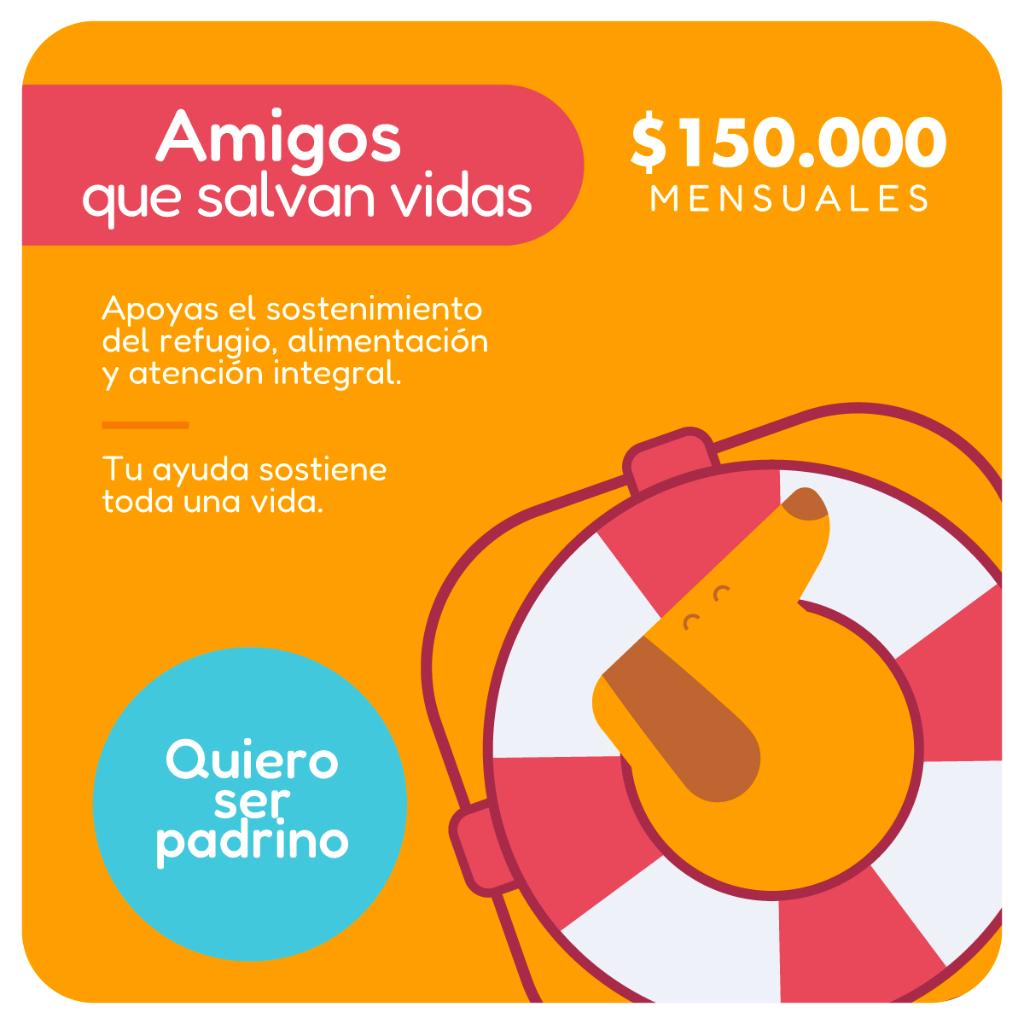 Plan Padrino Amigos que Salvan Vidas - Paticas al Rescate