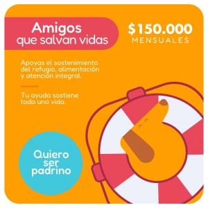 Plan Padrino Amigos que Salvan Vidas_2