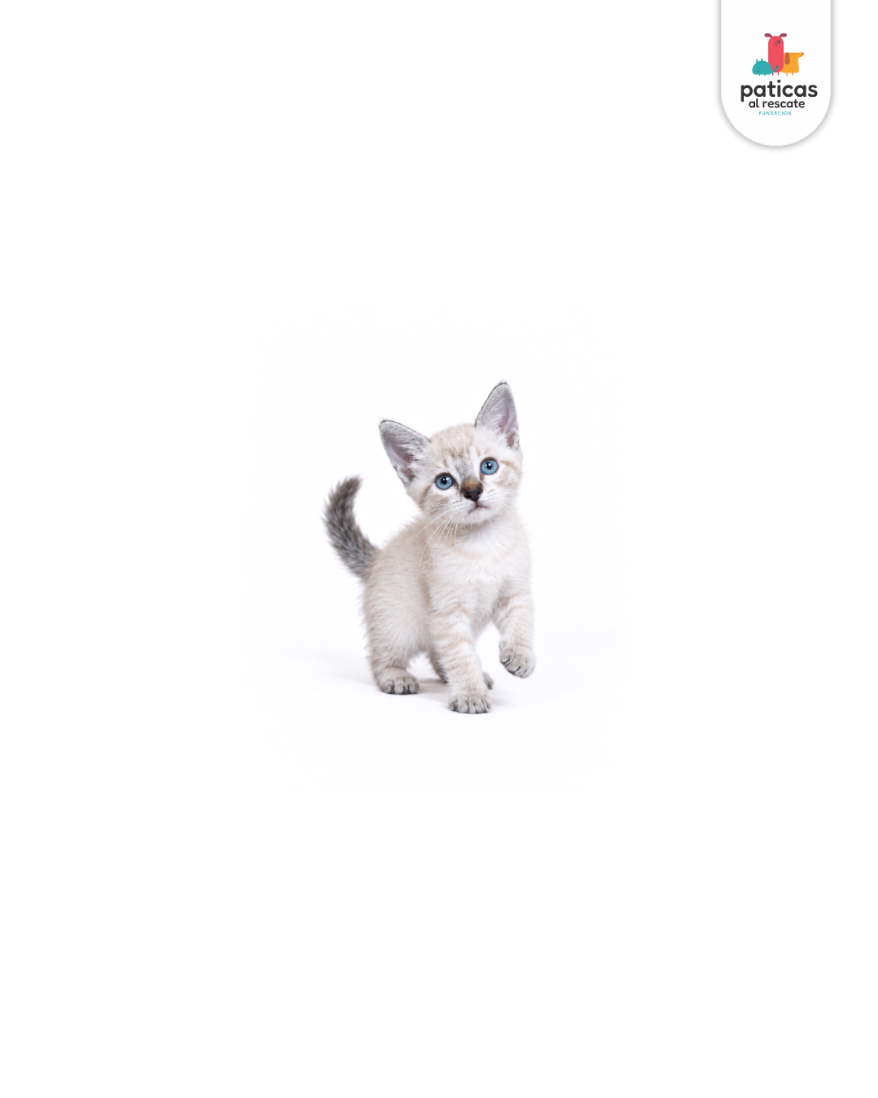 ADOPTA A NINI_5