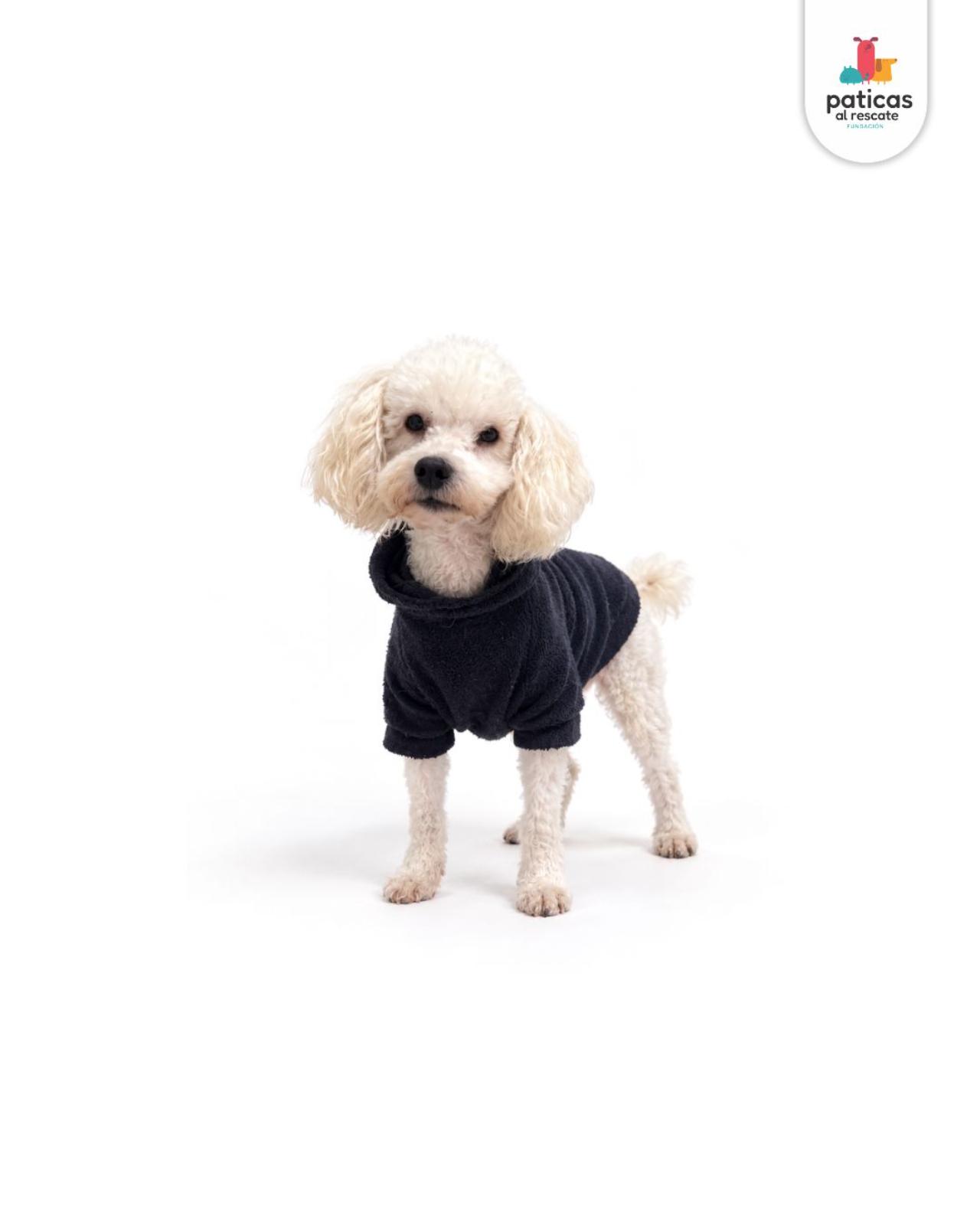 ADOPTA A OVEJITO_3
