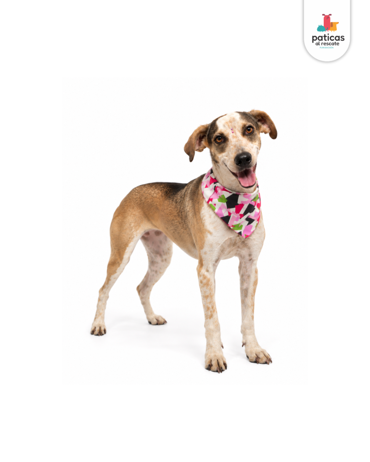 ADOPTA A MARGARITA_5