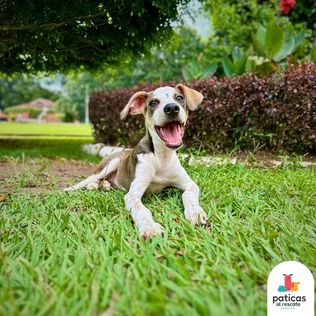 ADOPTA A MARGARITA_10
