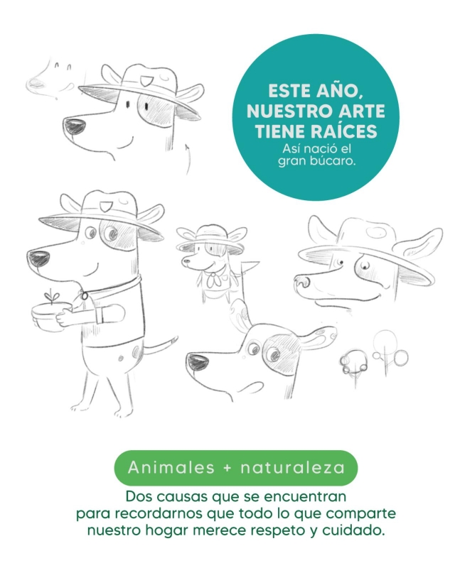 CAMISETA OFICIAL PATICAS FEST + ECOFEST 2026 — EL GRAN BÚCARO_2