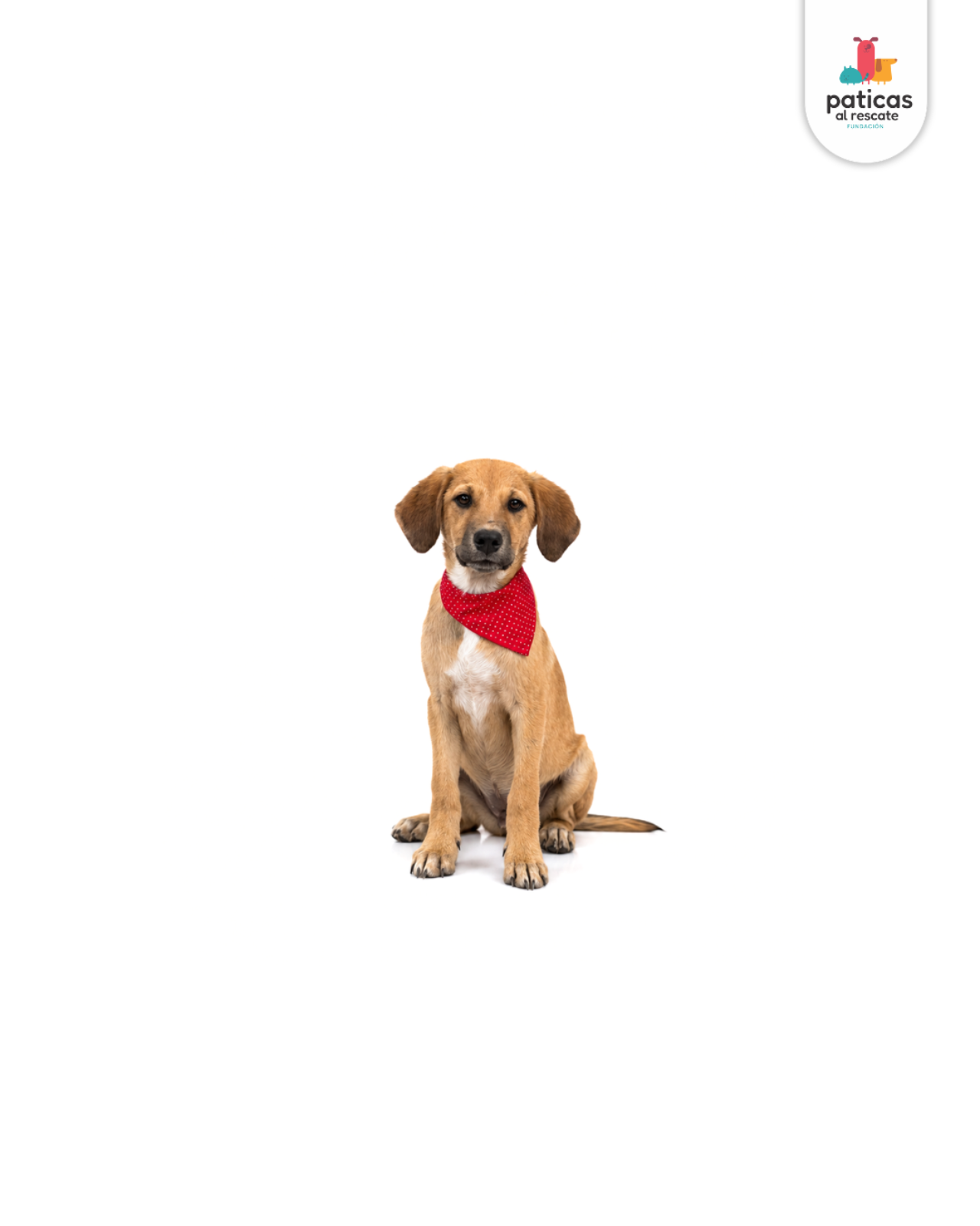 ADOPTA A SALOMÓN_7